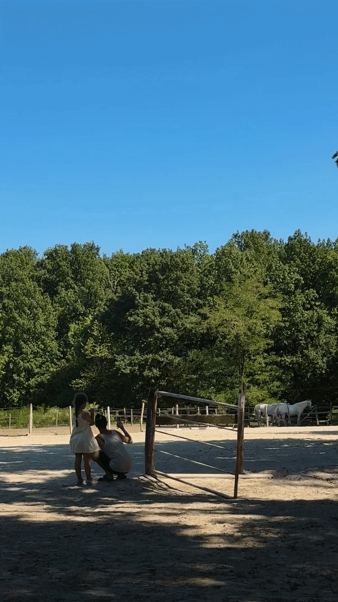 Hipoterapija Konjički klub Forrest of Klenovac Kosmaj ideje za izlet Forrest of Klenovac Kosmaj ideje za izlet55-ezgif.com-video-to-gif-converter