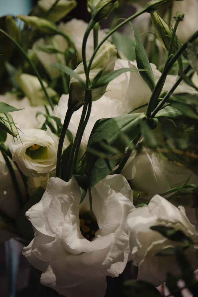 JATO X MARCO's flower shop