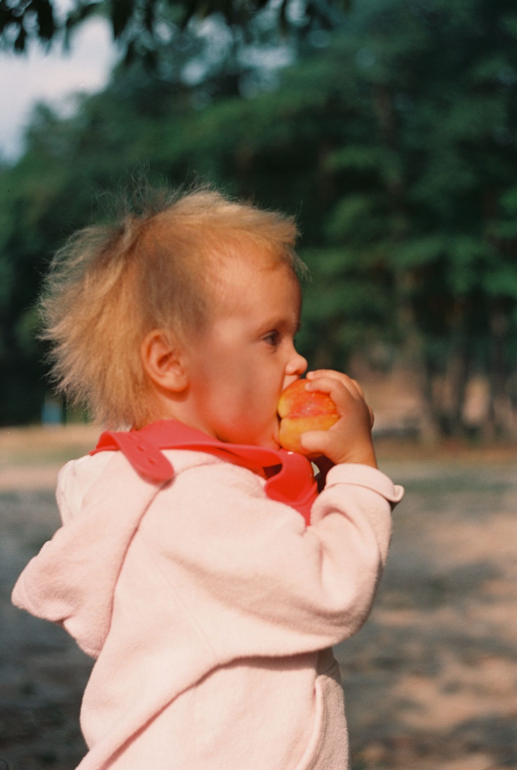 blw recept za bebe pexels-nastya-korenkova-72937441-9294639