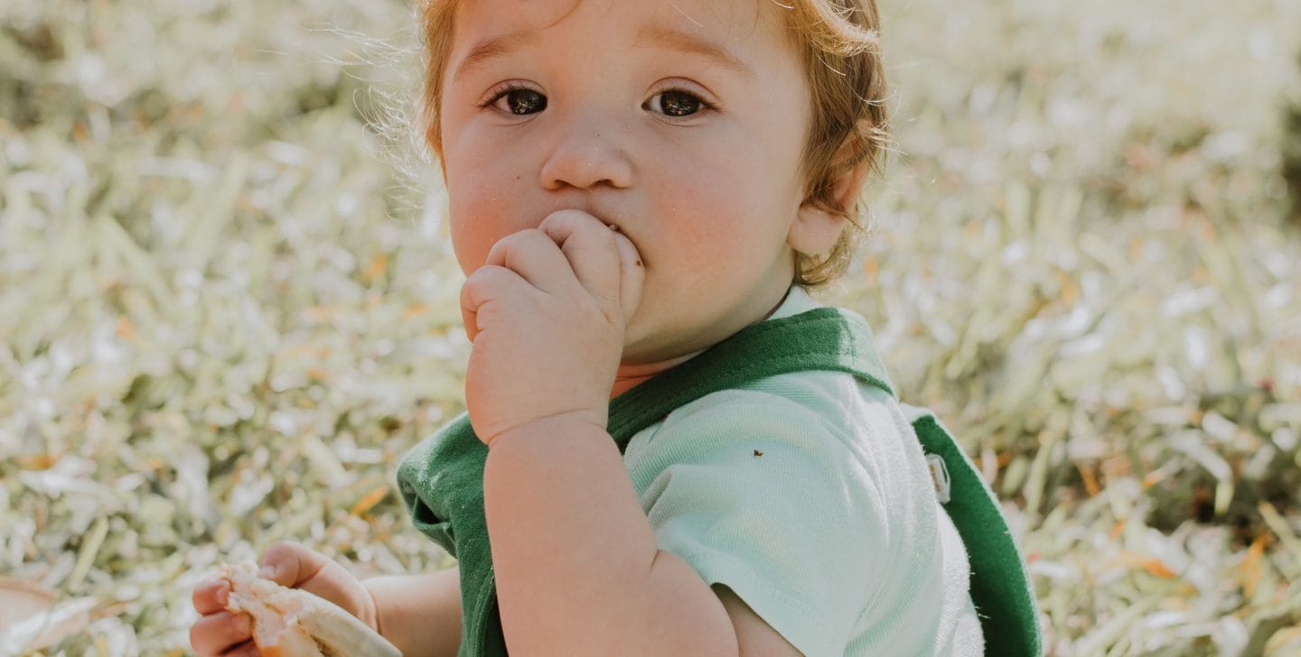 doručak za bebu i mamu receptpexels-julianemonarifotografia-27364741