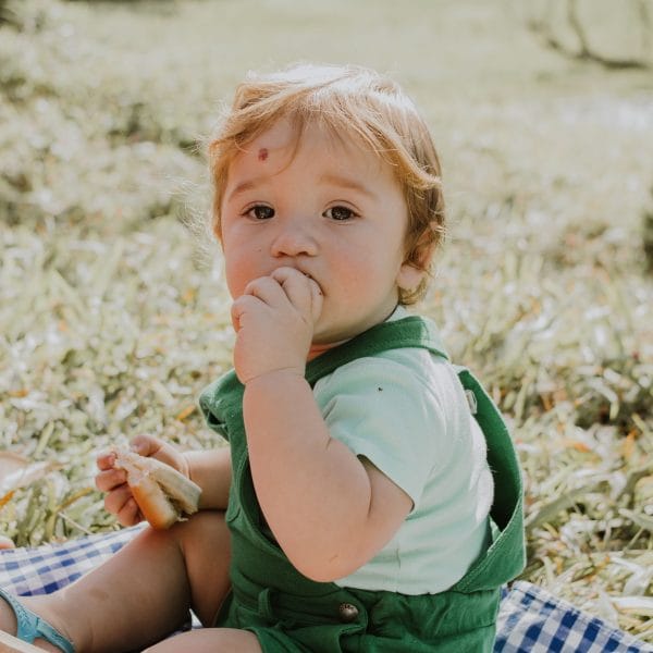 doručak za bebu i mamu receptpexels-julianemonarifotografia-27364741