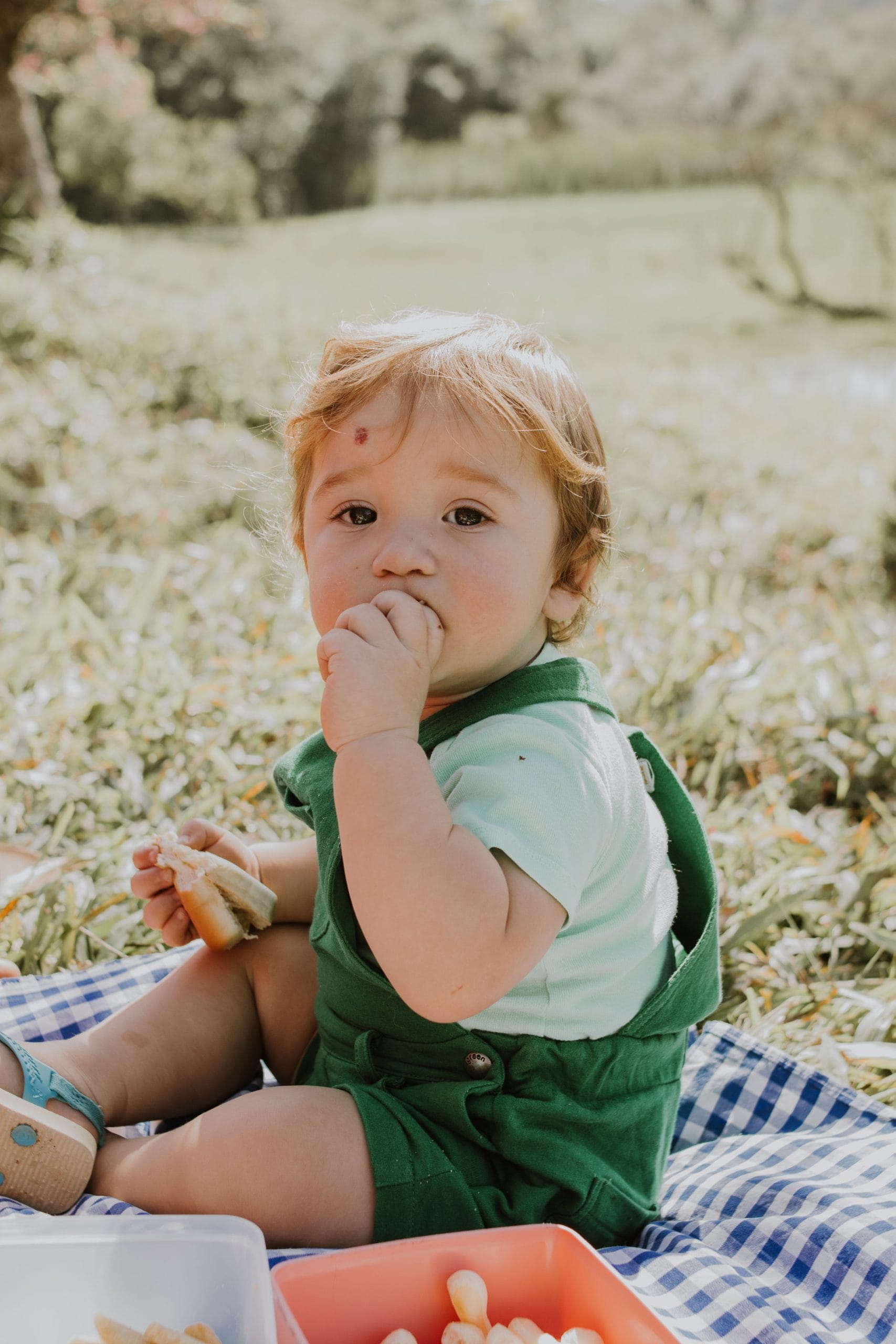 doručak za bebu i mamu receptpexels-julianemonarifotografia-27364741