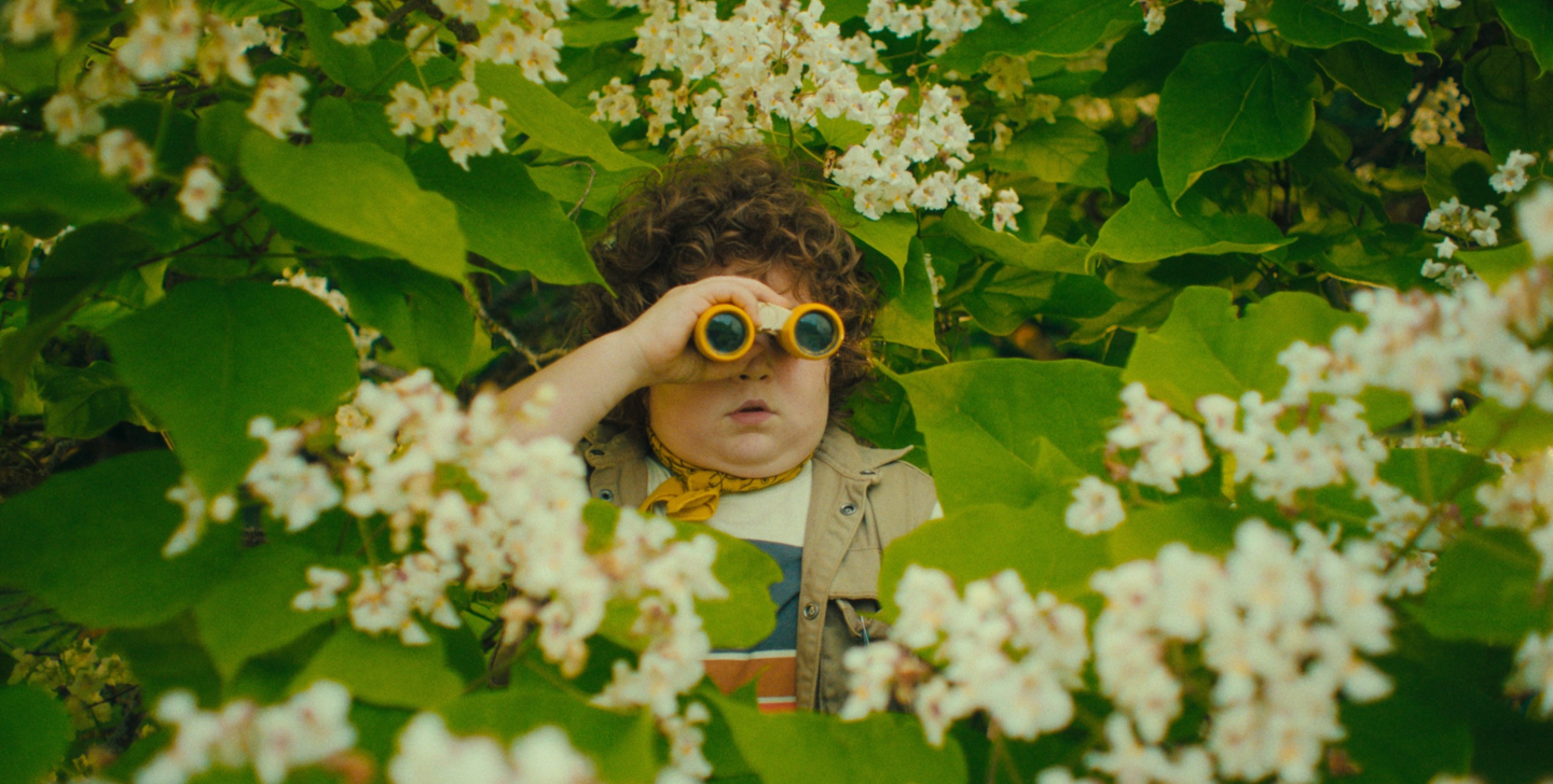 Film Glavonja